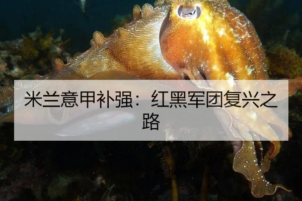 米兰意甲补强：红黑军团复兴之路
